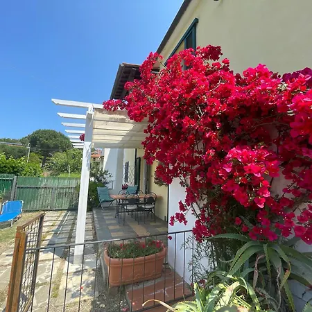 Daire Casa Cirilla - Argonautivacanze Procchio (Isola d'Elba)